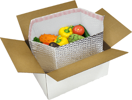 Image for Global Temperature Controlled Packaging Solutions Market Share is Expected To Get Massive Growth Profits by 2026 with ID of: 4883340