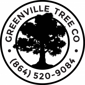 Image for Greenville Tree Co. with ID of: 4885526