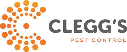 Image for Clegg's Termite & Pest Control - Charlotte with ID of: 4886932