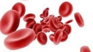 Image for Global Human Coagulation Factor VIII Market Share is Expected To Get Massive Growth Profits by 2026 with ID of: 4892750
