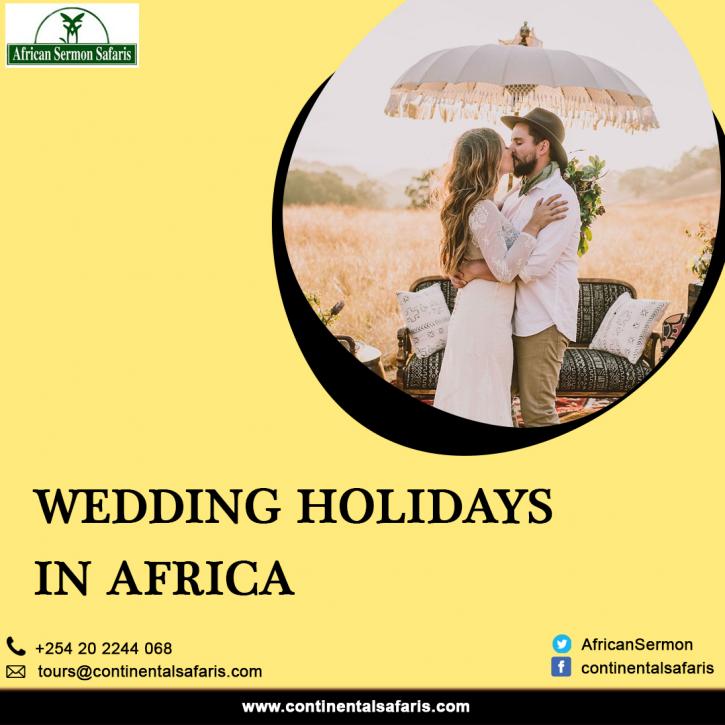 Image for Wedding Holidays in Africa with ID of: 4895845
