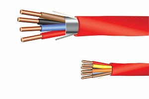 Image for Why Some Fire Alarm Cables Need to Be Shielded with ID of: 4900447