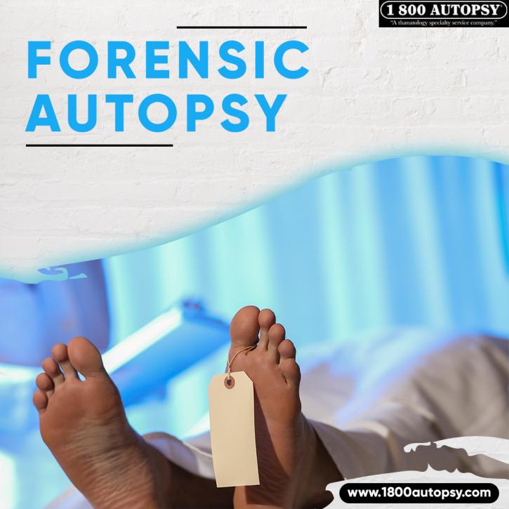 Image for Forensic Autopsy with ID of: 4904670