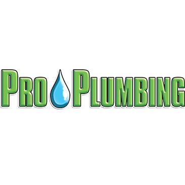Image for Pro Plumbing Services Corp with ID of: 4916462