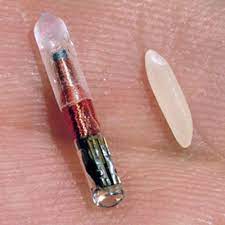 Image for Global Pet Microchips Market Share is Expected To Get Massive Growth Profits by 2026 with ID of: 4918815