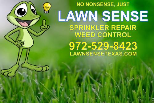 Image for Lawn Sense with ID of: 4920712