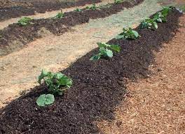 Image for Global Biosolids Market Share is Expected To Get Massive Growth Profits by 2026 with ID of: 4921593