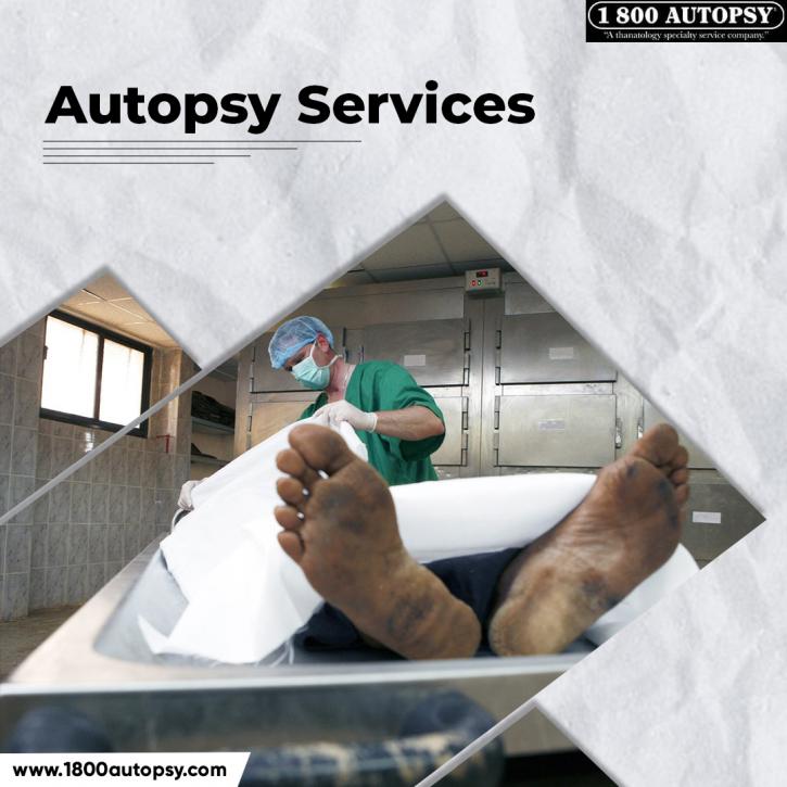 Image for Autopsy Services with ID of: 4926619