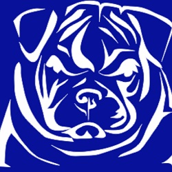 Image for Bulldog Roofing with ID of: 4930966