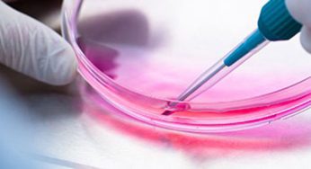 Image for Recombinant Trypsin Solution Market 2021 Future Estimations, Drivers and Growth Opportunities Till 2026 with ID of: 4934141
