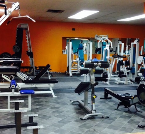 Image for Best Personal Trainer in Harmony with ID of: 4939499