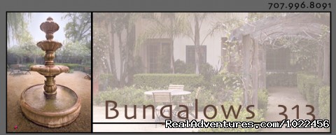 Image for Many excellent Spas & Mudbaths with ID of: 494033