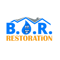 Image for Best Option Restoration (B.O.R.) of North Phoenix with ID of: 4945142