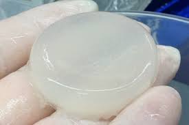 Image for Biodegradable Super Absorbent Materials Market Size, Demand, Growth And Industry Development Trends By 2021-2026 with ID of: 4946046