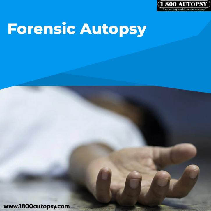Image for Forensic Autopsy with ID of: 4949340