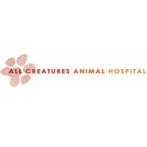 Image for All Creatures Animal Hospital with ID of: 4950579