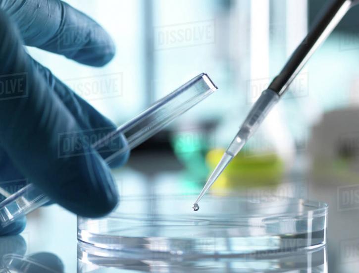 Image for Cholesterol N-amyl carbonate with ID of: 4950716