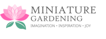 Image for Growing Oxalis with ID of: 4951759