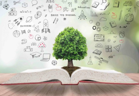 Image for Best Tutor in Strawberry Hill with ID of: 4952267