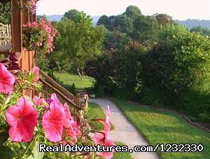 Image for Lovely views with ID of: 495687