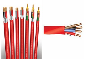 Image for Why Is Rating (Plenum vs. Riser) So Important in Fire Alarm Cables? with ID of: 4961878