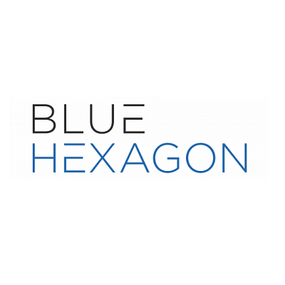 Image for Blue Hexagon Cyber Security with ID of: 4966358