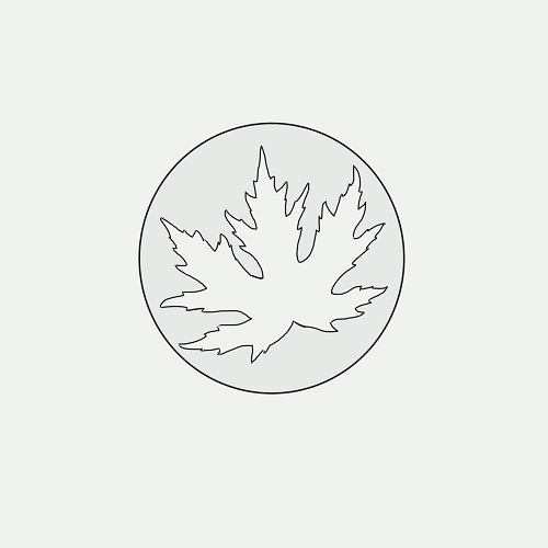 Image for Silver Maple Home Inspections with ID of: 4968266