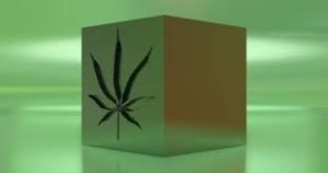 Image for Hemp Recyclable Packaging Market Share is Expected To Get Massive Growth Profits by 2026 with ID of: 4972954