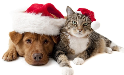 Image for PetPro2U with ID of: 4976776