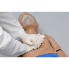 Image for Global First-Aid Patient Simulator Market Share is Expected To Get Massive Growth Profits by 2026 with ID of: 4980140