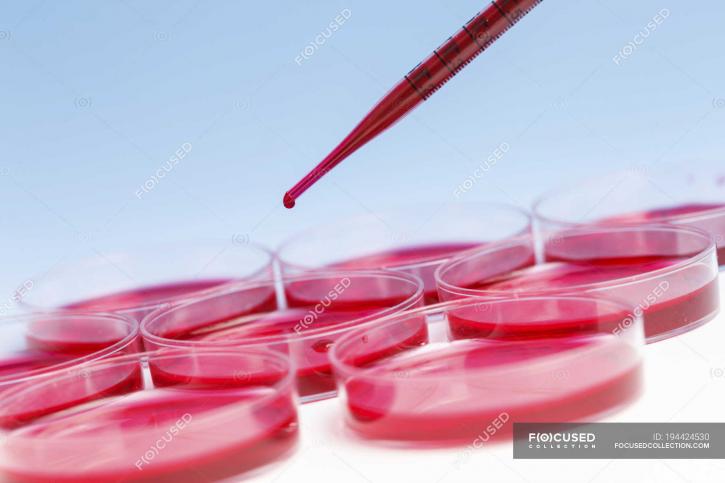 Image for Antibody modified upconverting nanoparticles with ID of: 4985458