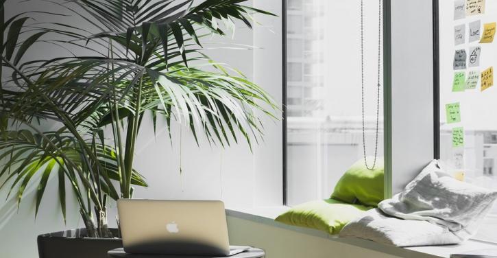 Image for How a Shopify Web Designer Can Support Your SEO Campaign with ID of: 4986974