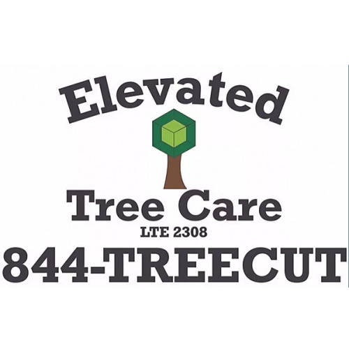 Image for Elevated Tree Care with ID of: 5000882