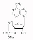 Image for Metal Nano-materials with ID of: 5002808