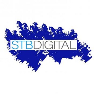 Image for Simply The Best SEO with ID of: 5010139