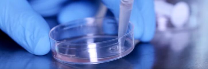 Image for Global Cell Isolation/Separation Market Share is Expected To Get Massive Growth Profits by 2026 with ID of: 5010883