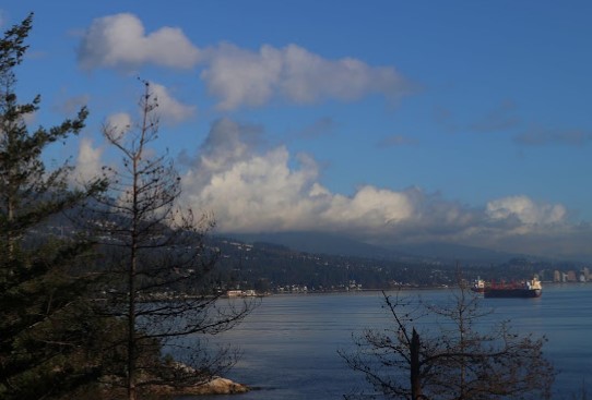 Image for Best Photographer in Burquitlam with ID of: 5013428