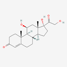 Image for Hydrocortisone Market Size, Growth Opportunities, Historical Data, Emerging Trends & Forecast To, 2027 with ID of: 5018630