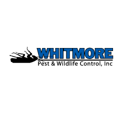Image for Whitmore Pest & Wildlife Control with ID of: 5019588