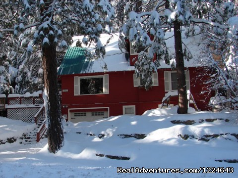 Image for snowman building with ID of: 502416