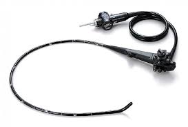 Image for Through Endoscopic Market Share, Trends, Product Estimates & Strategy Framework To, 2021-2026 with ID of: 5025980