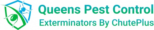 Image for Queens Pest Control Exterminator with ID of: 5026829