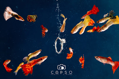 Image for Capso Studio with ID of: 5028818