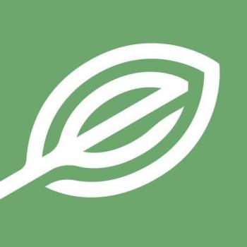 Image for Elevate Holistics Medical Marijuana Doctors with ID of: 5032031