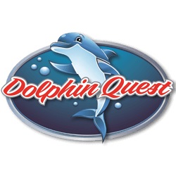 Image for Dolphin Quest with ID of: 5032811