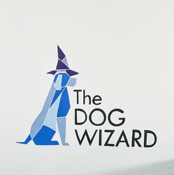 Image for The Dog Wizard Medina with ID of: 5035117
