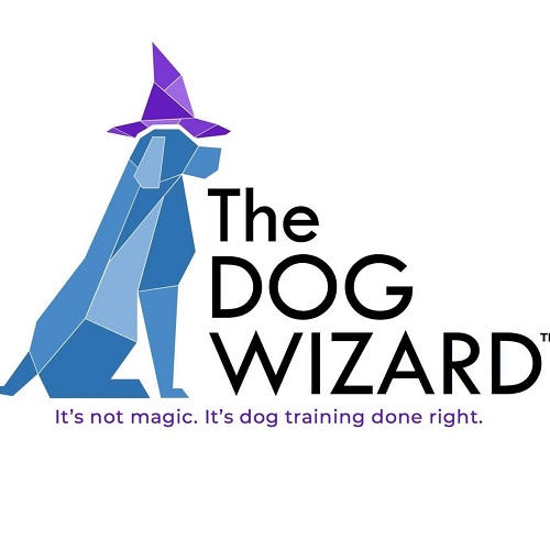 Image for The Dog Wizard Tampa with ID of: 5036420