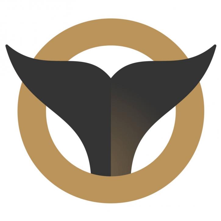 Image for Orca Roofing with ID of: 5041189