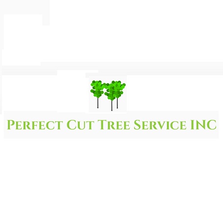Image for Perfect Cut Tree Service Inc with ID of: 5046313