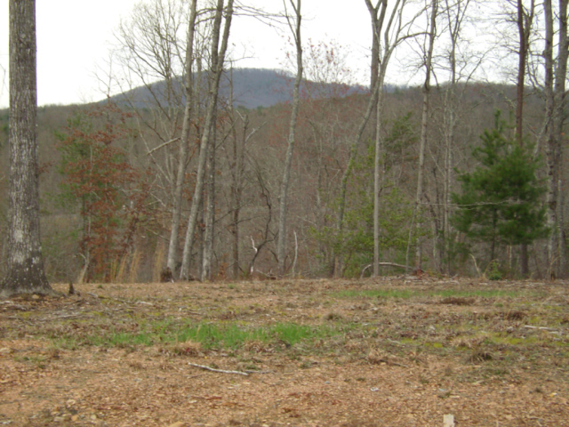 Image for What a Deal   Lot 28 The Ridges   Murphy NC   Lot for Sale with ID of: 504703